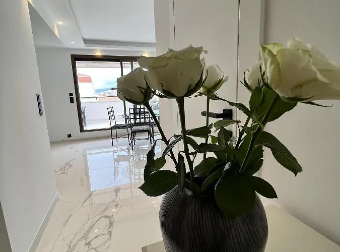 Gray D'albion Del562 * カンヌ