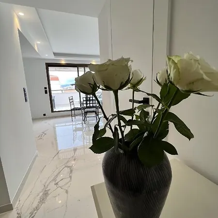 Gray D'albion Del562 * Cannes